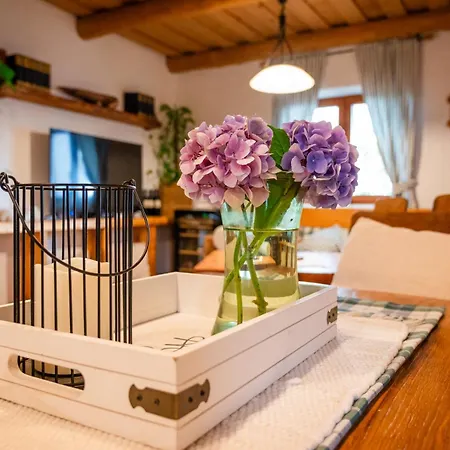 Ferienhaus Kmecka Hiska - Hisa Vina Cuk